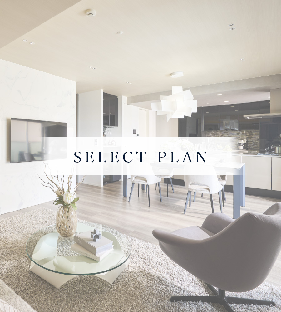 SELECT PLAN