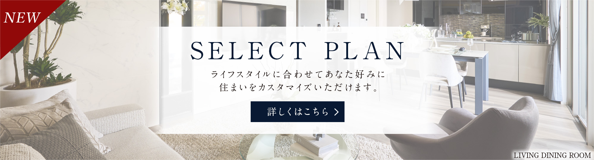 SELECT PLAN