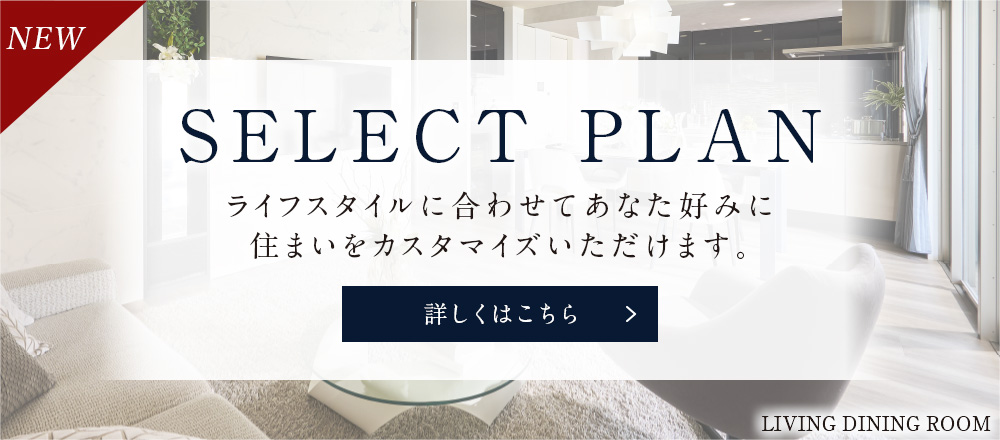 SELECT PLAN